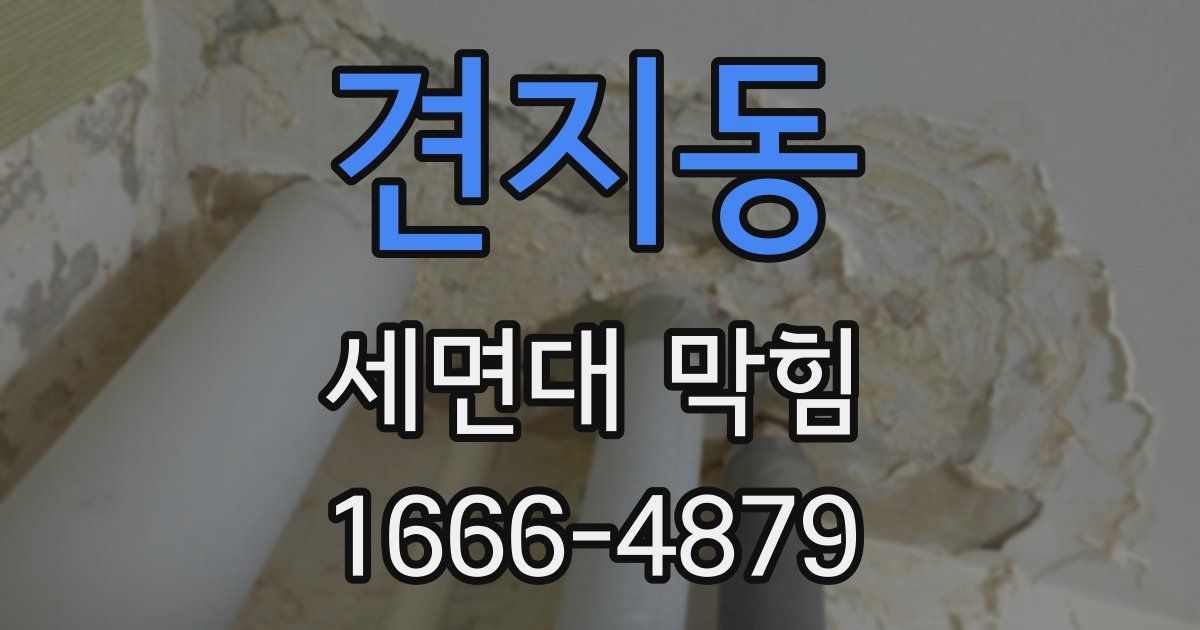 견지동 세면대 막힘