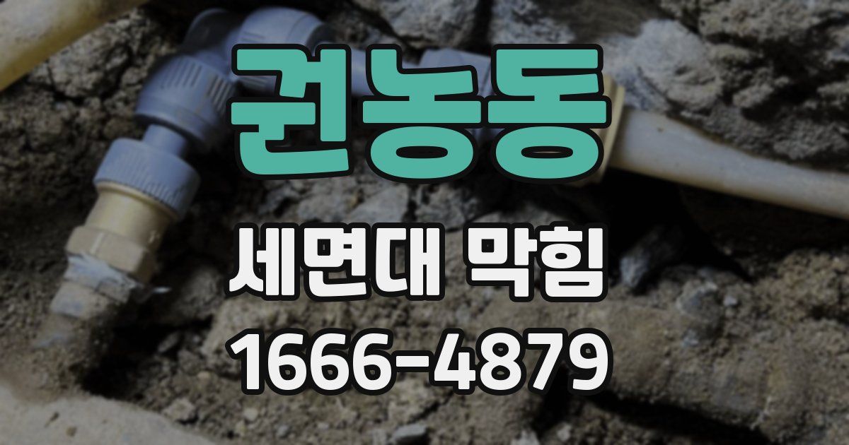 권농동 세면대 막힘