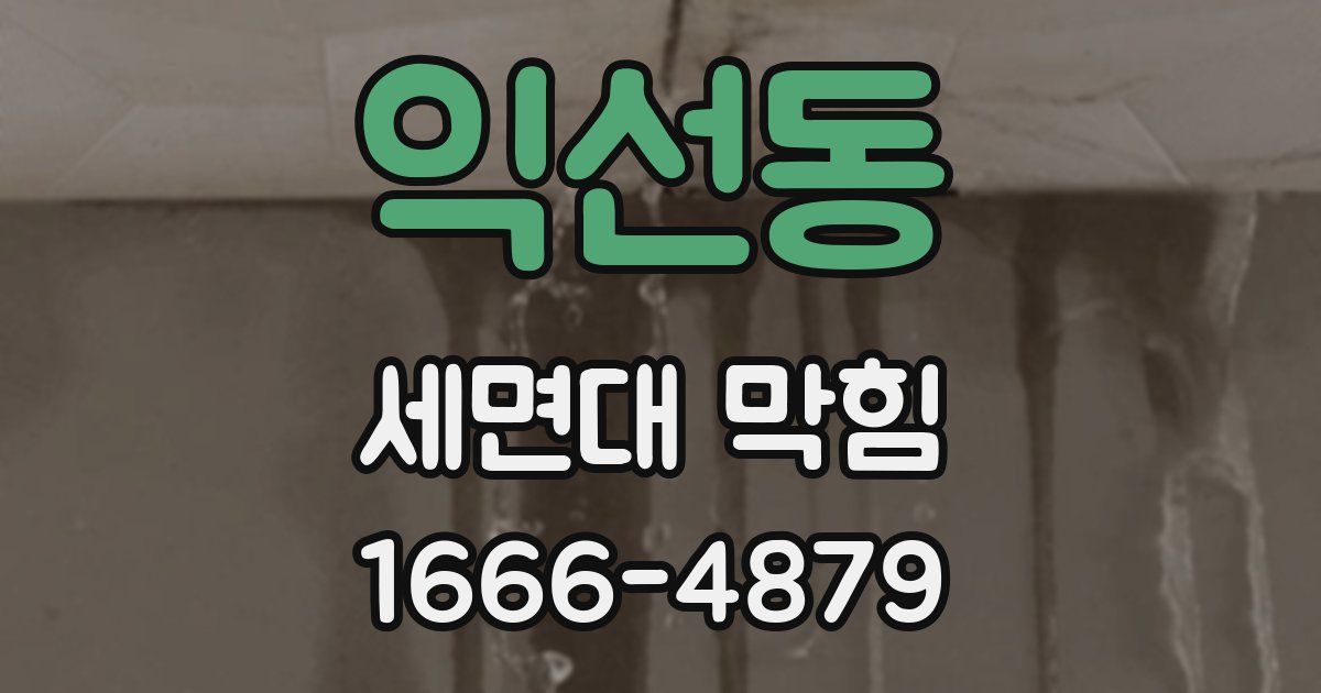 익선동 세면대 막힘