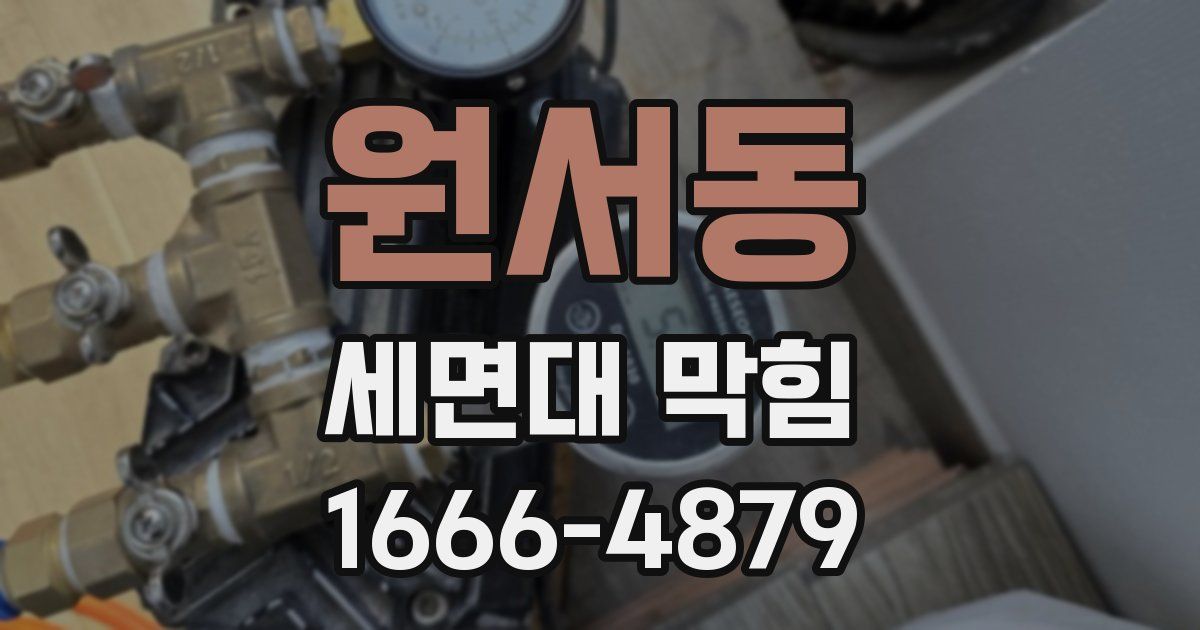 원서동 세면대 막힘