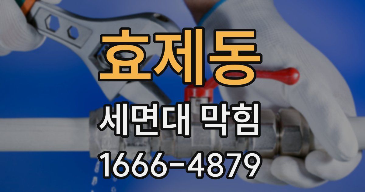 효제동 세면대 막힘