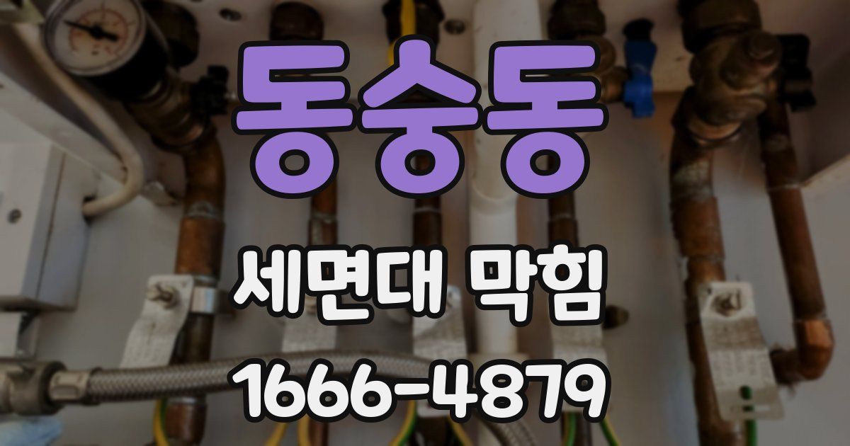 동숭동 세면대 막힘