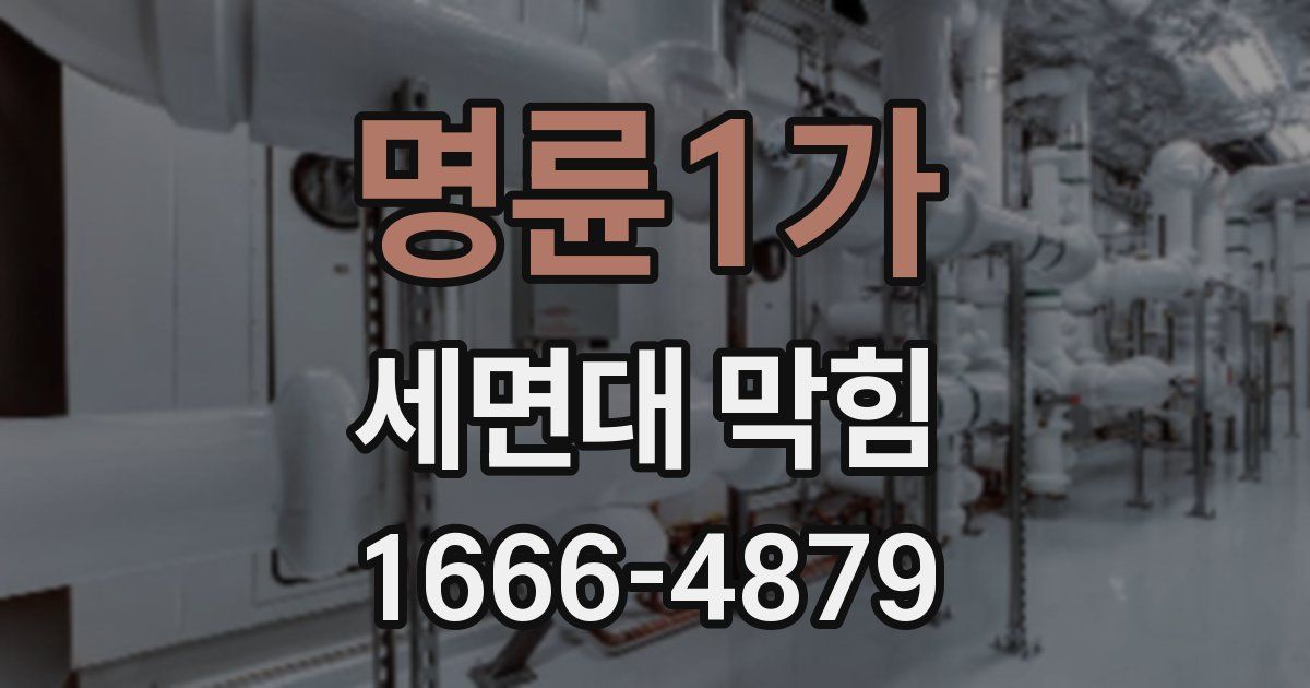 명륜1가 세면대 막힘