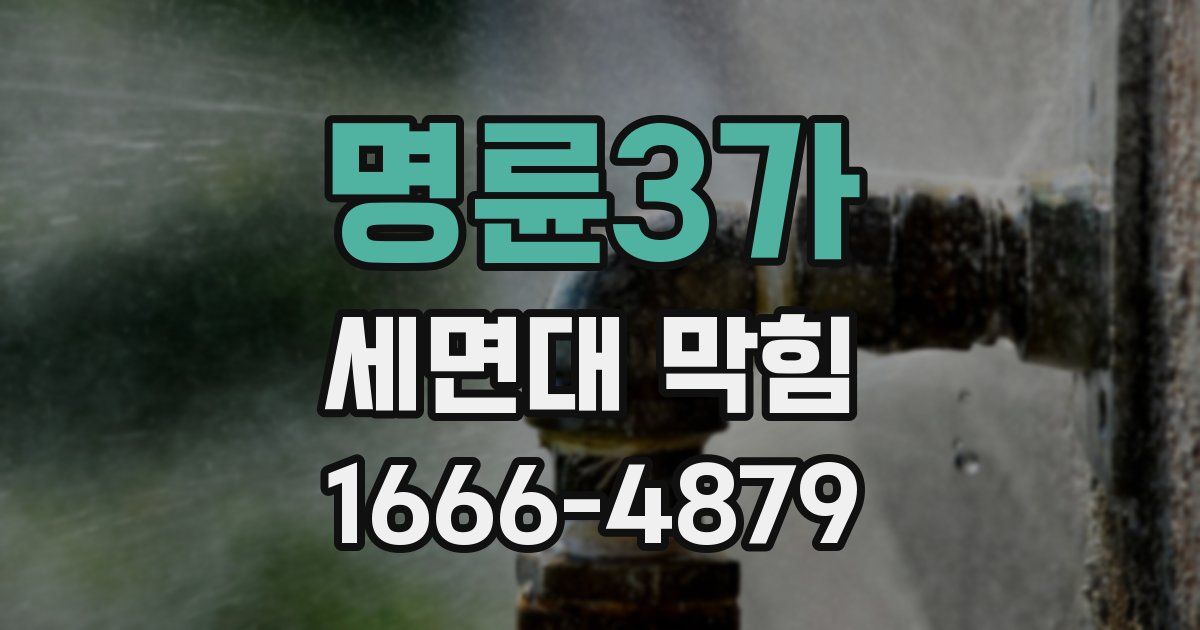 명륜3가 세면대 막힘