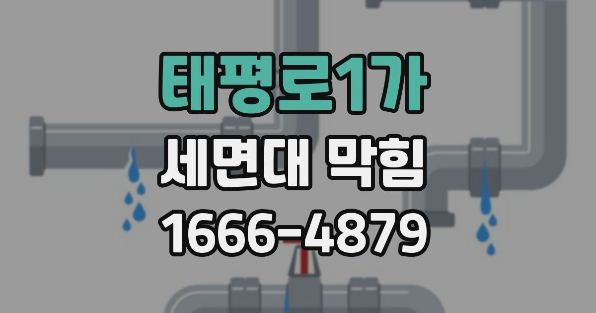 태평로1가 세면대 막힘