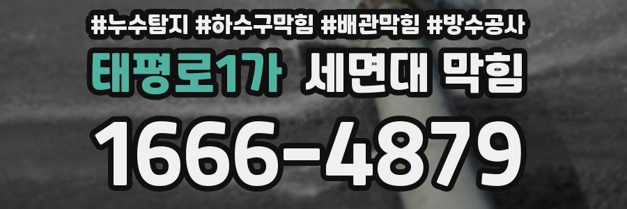 태평로1가 세면대 막힘