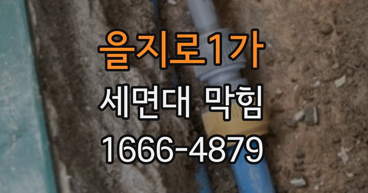 을지로1가 세면대 막힘