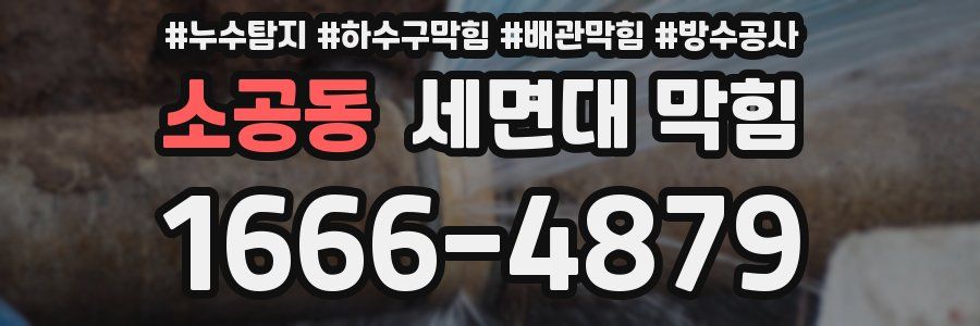 소공동 세면대 막힘