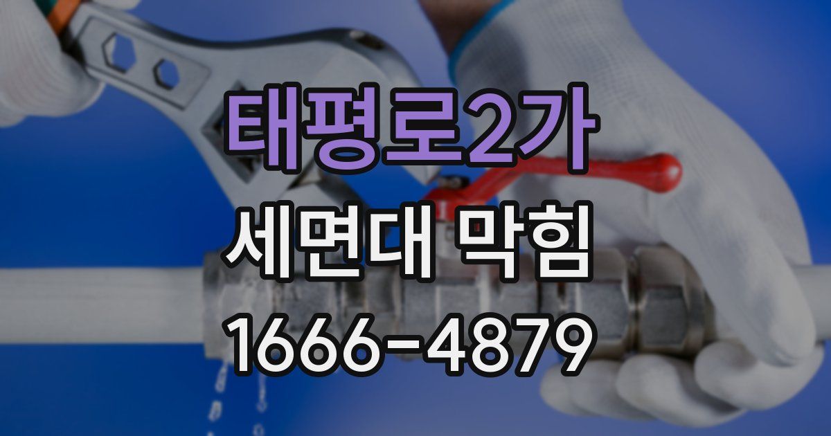 태평로2가 세면대 막힘