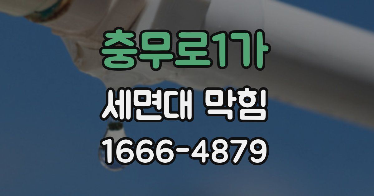 충무로1가 세면대 막힘