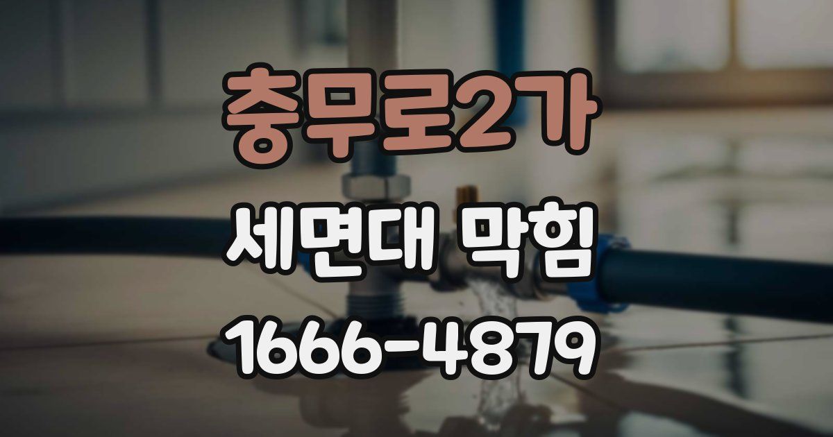 충무로2가 세면대 막힘