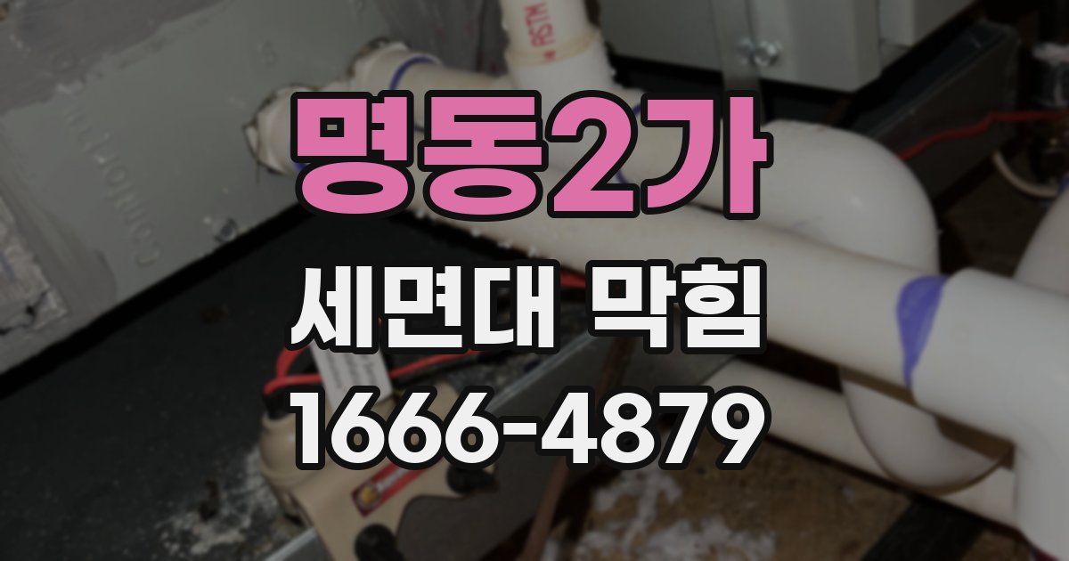 명동2가 세면대 막힘