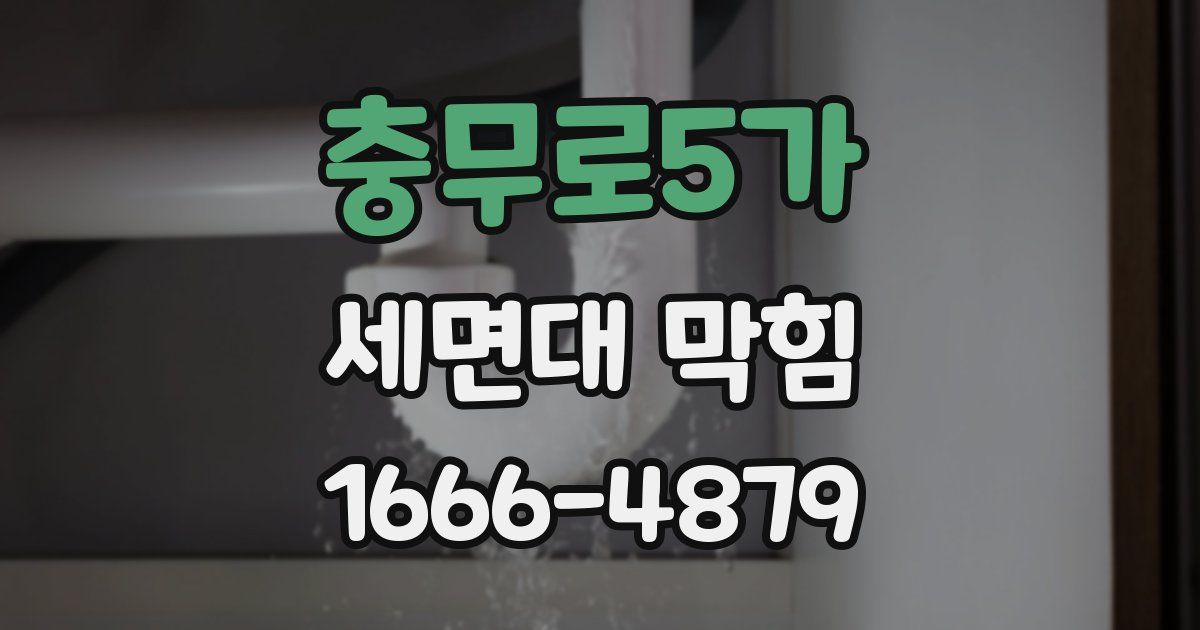 충무로5가 세면대 막힘