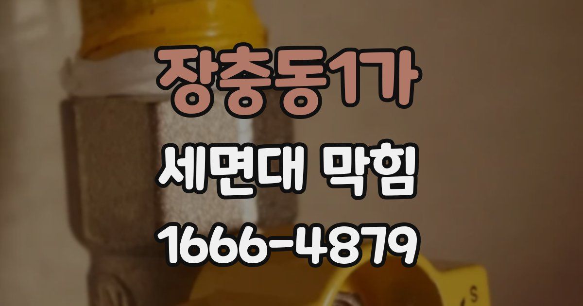 장충동1가 세면대 막힘
