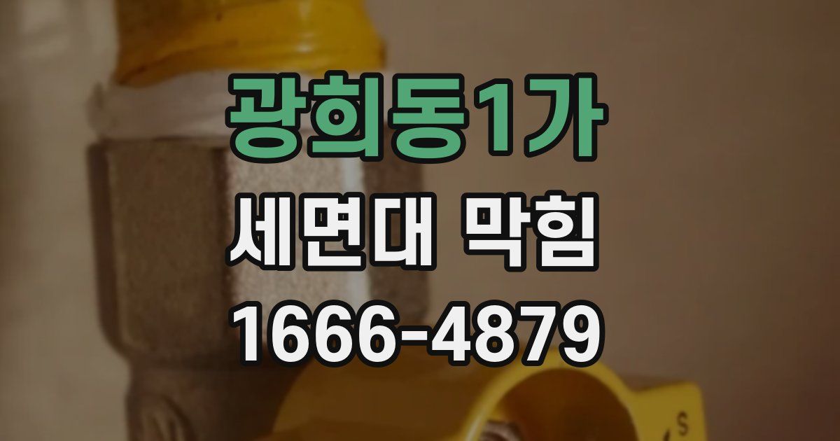 광희동1가 세면대 막힘