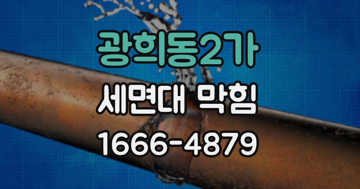 광희동2가 세면대 막힘