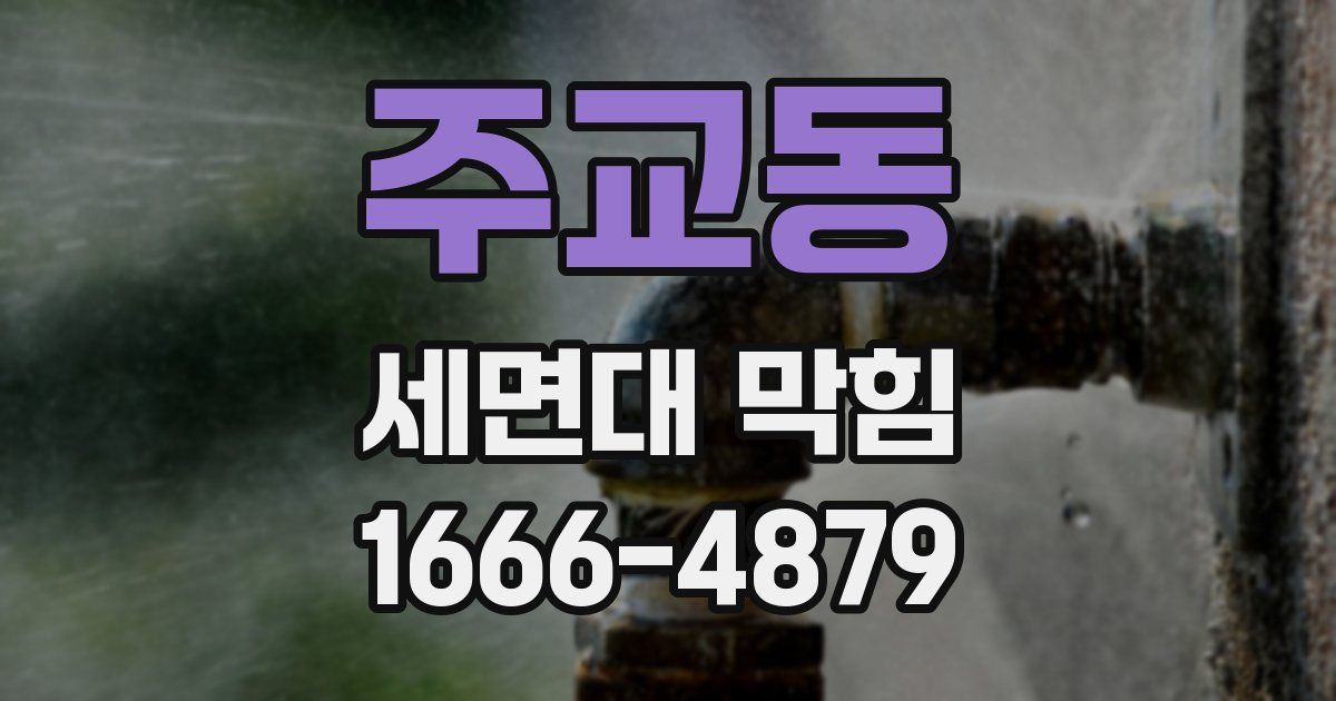 주교동 세면대 막힘
