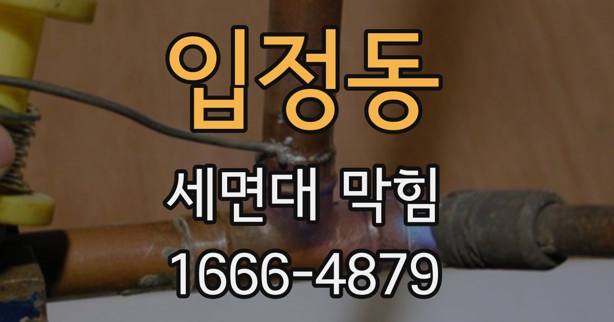 입정동 세면대 막힘