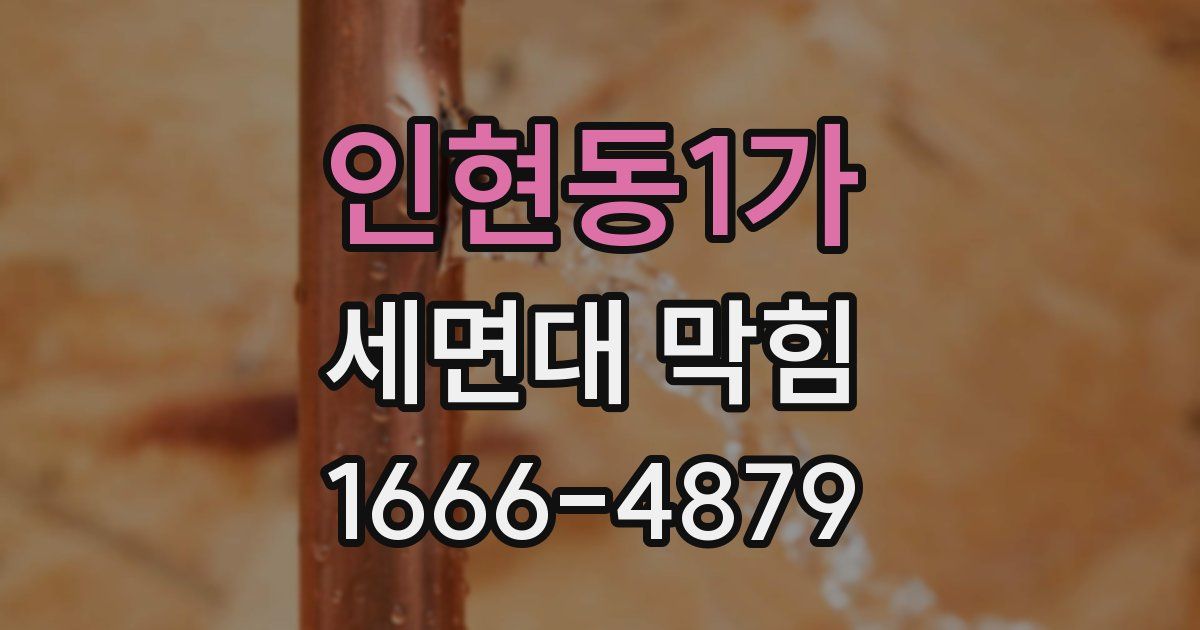 인현동1가 세면대 막힘