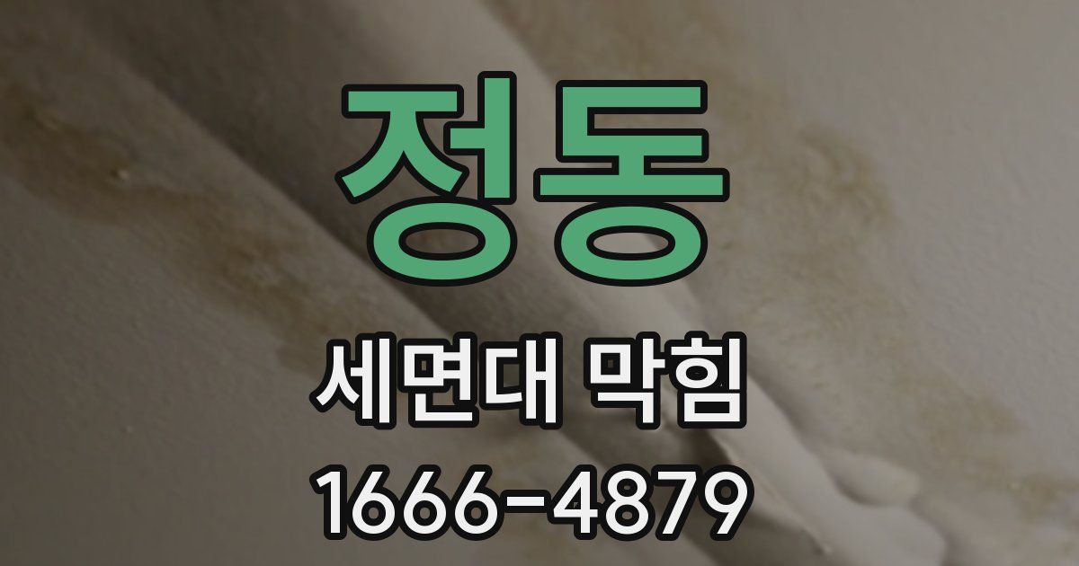 정동 세면대 막힘