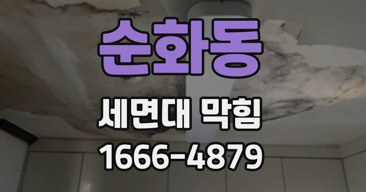 순화동 세면대 막힘