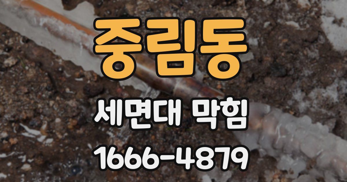 중림동 세면대 막힘