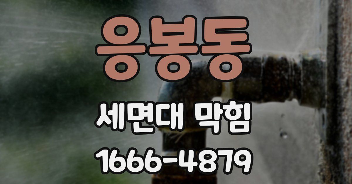 응봉동 세면대 막힘