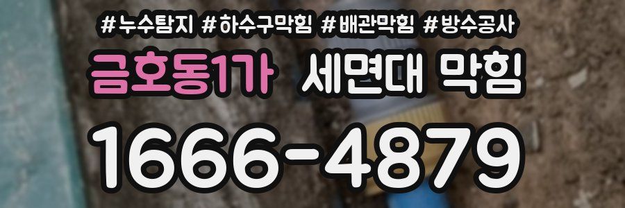 금호동1가 세면대 막힘