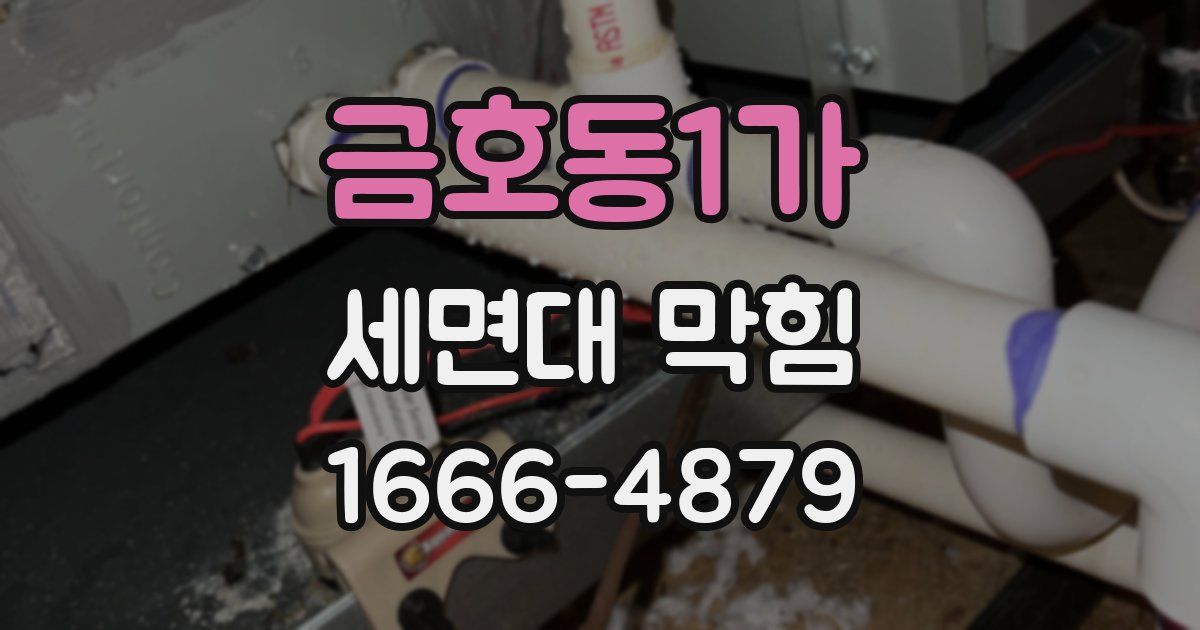 금호동1가 세면대 막힘