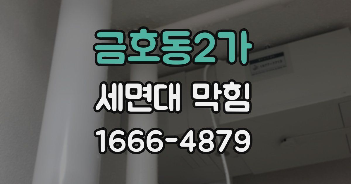 금호동2가 세면대 막힘