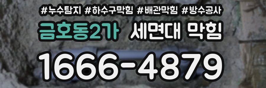 금호동2가 세면대 막힘