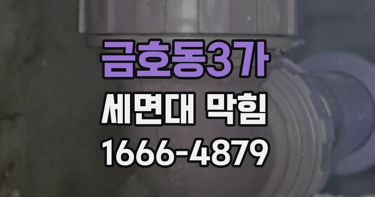 금호동3가 세면대 막힘