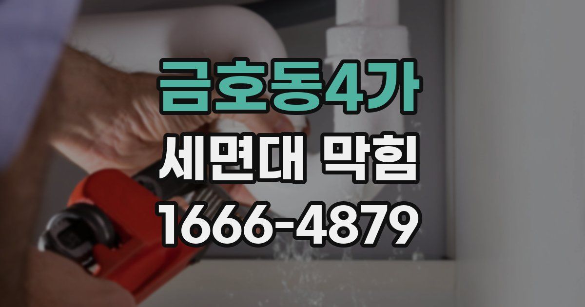 금호동4가 세면대 막힘