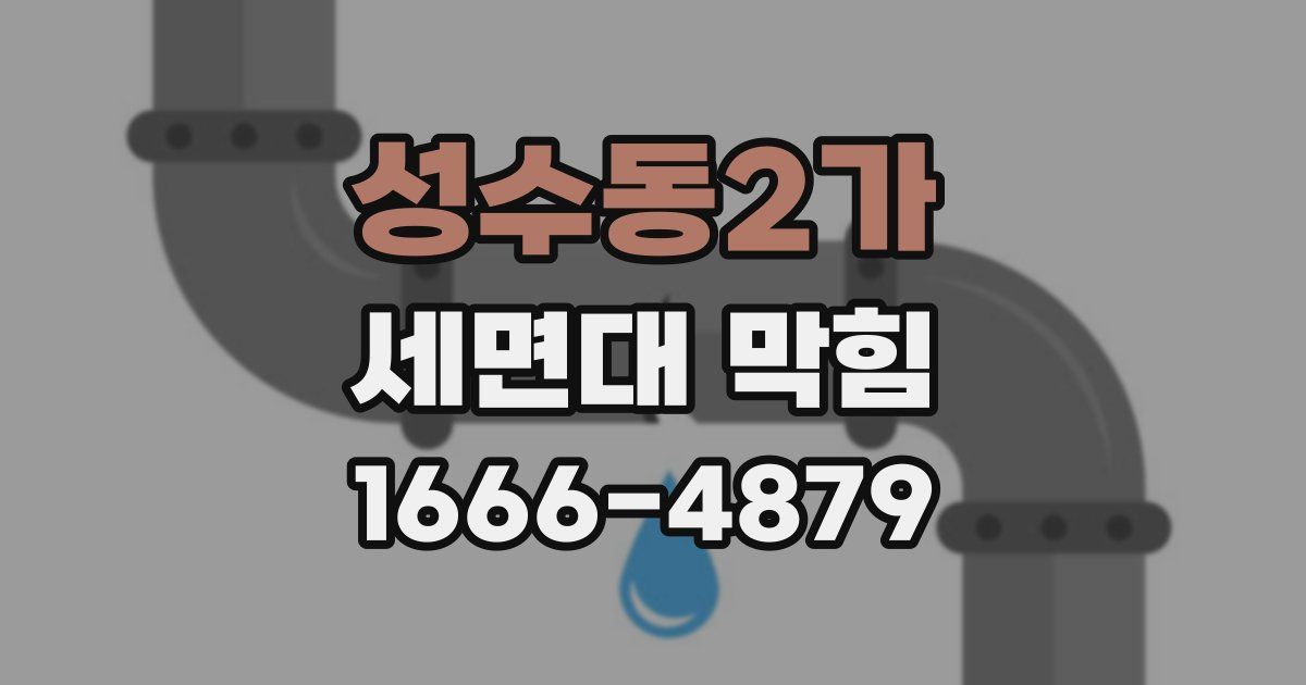 성수동2가 세면대 막힘