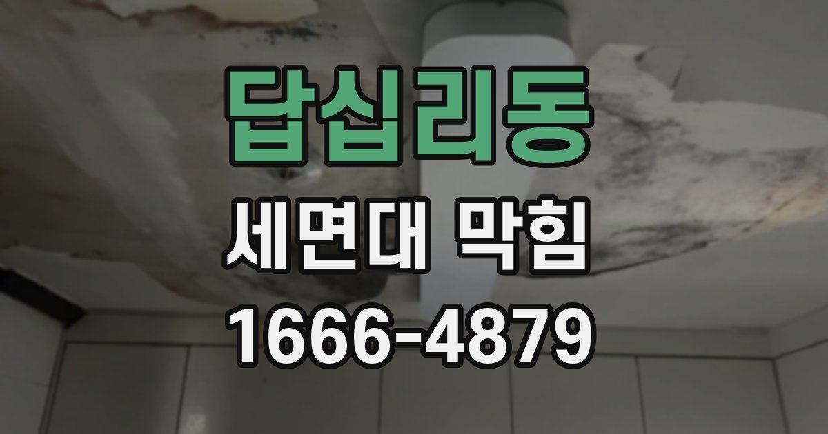 답십리동 세면대 막힘