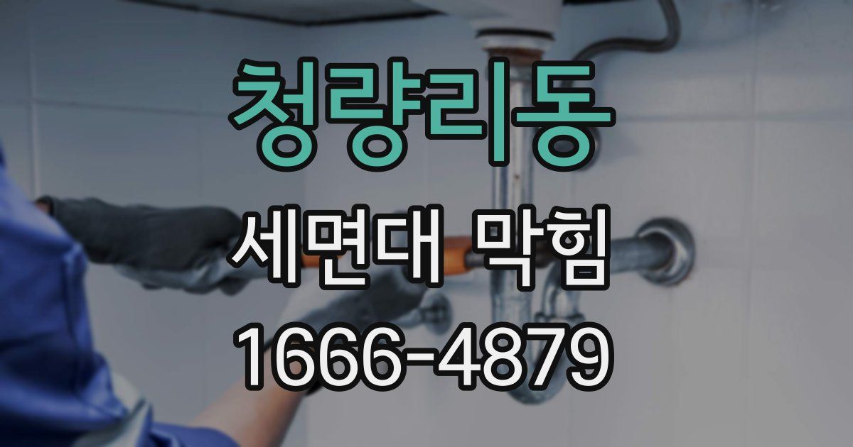 청량리동 세면대 막힘