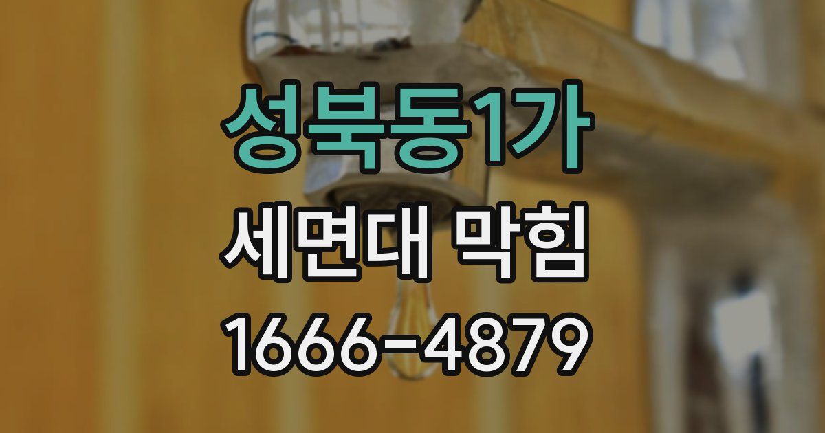 성북동1가 세면대 막힘