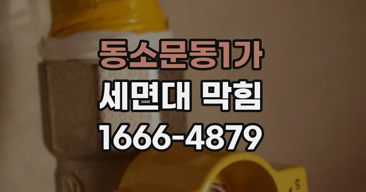 동소문동1가 세면대 막힘