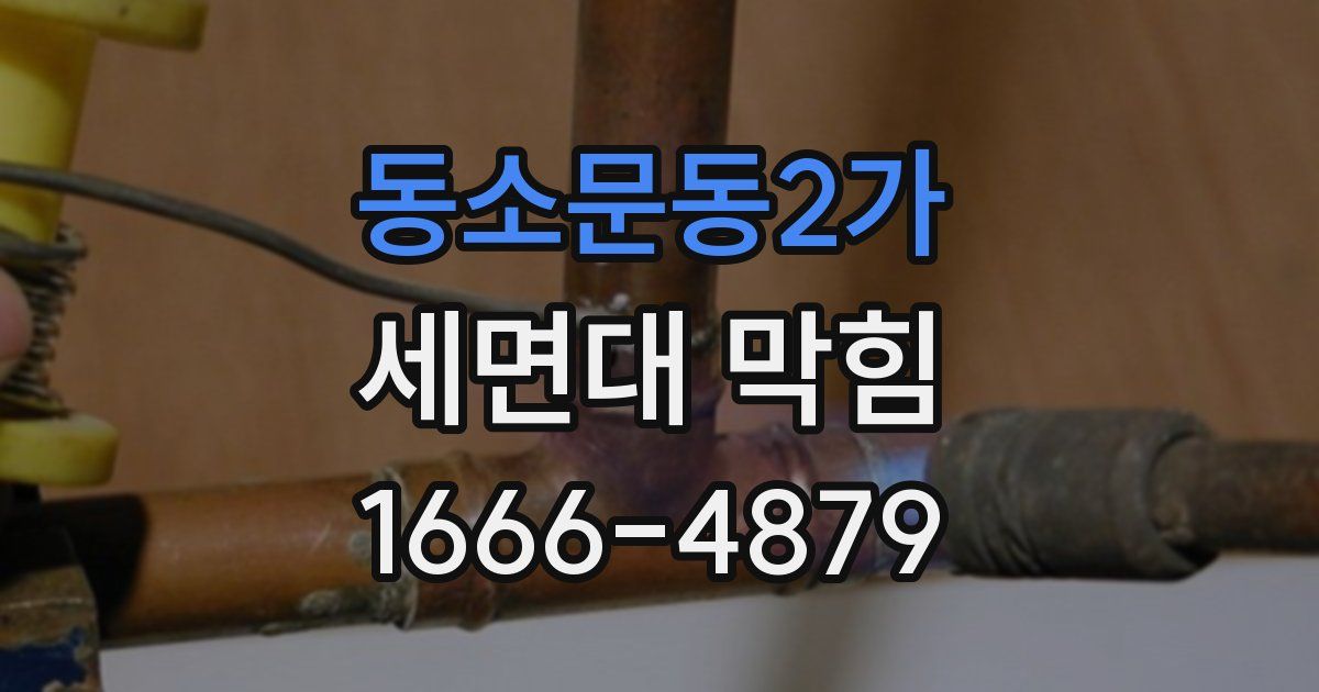 동소문동2가 세면대 막힘