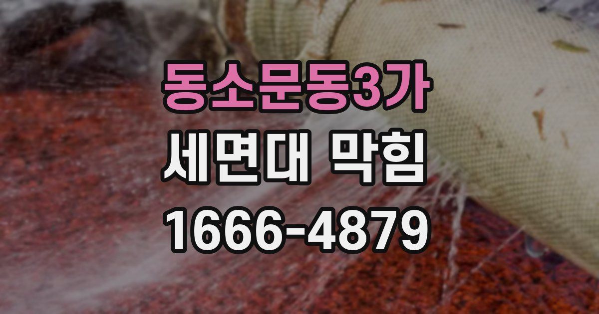동소문동3가 세면대 막힘