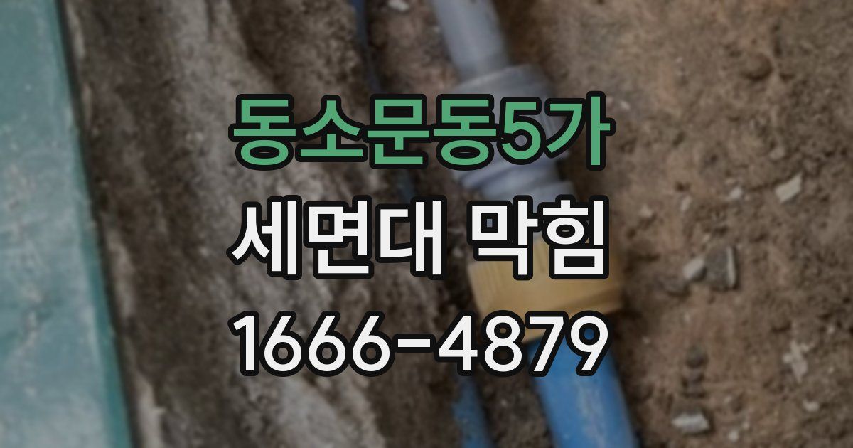 동소문동5가 세면대 막힘