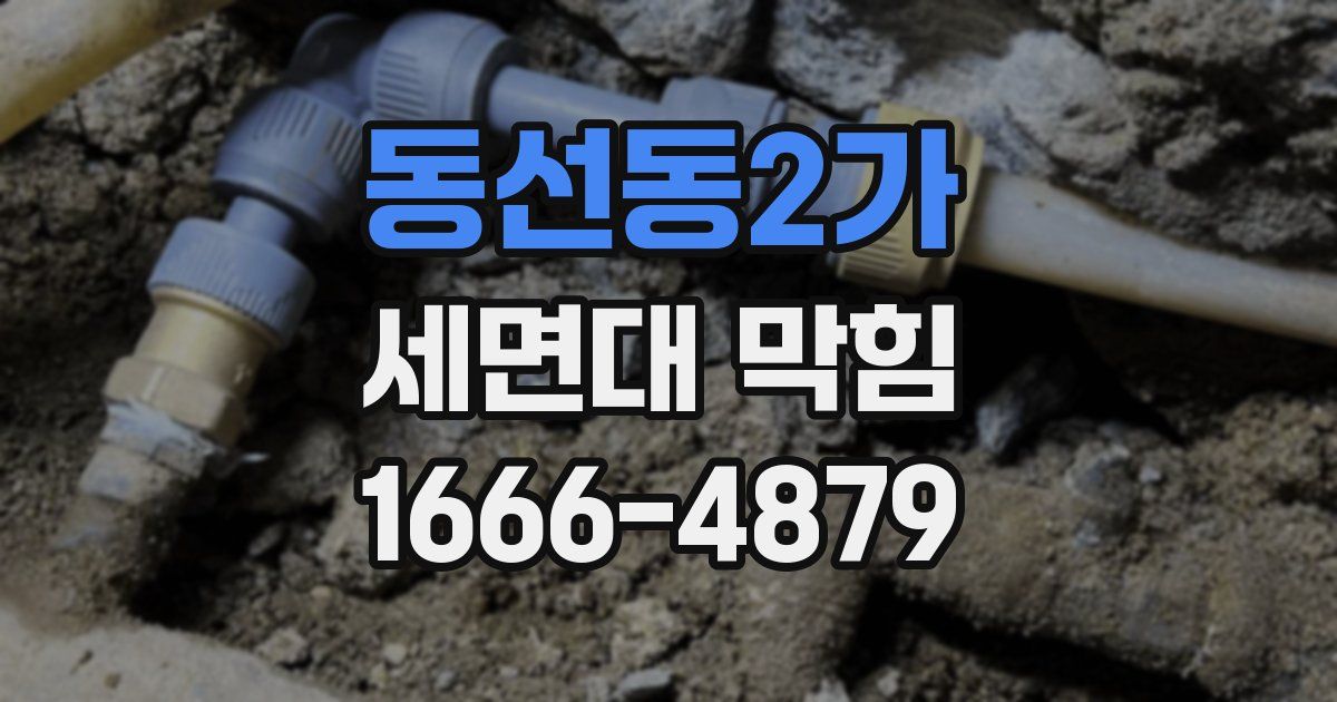 동선동2가 세면대 막힘
