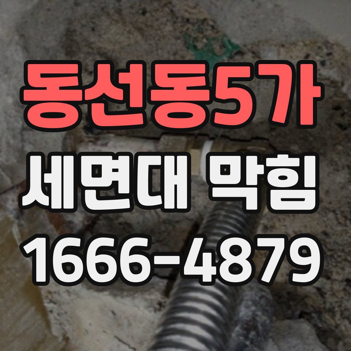 동선동5가 세면대 막힘