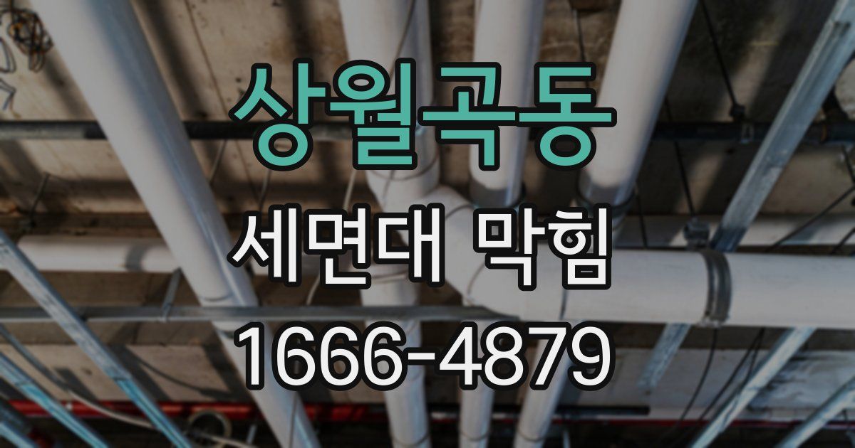 상월곡동 세면대 막힘