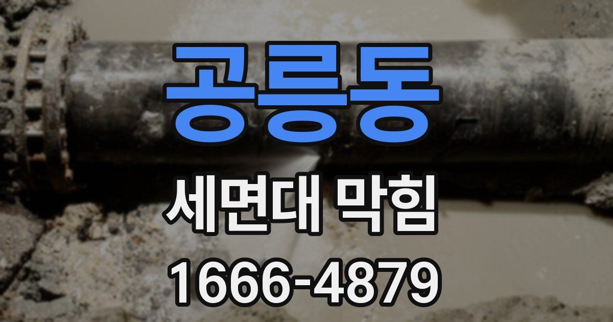 공릉동 세면대 막힘