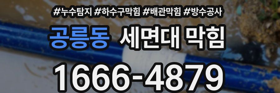 공릉동 세면대 막힘