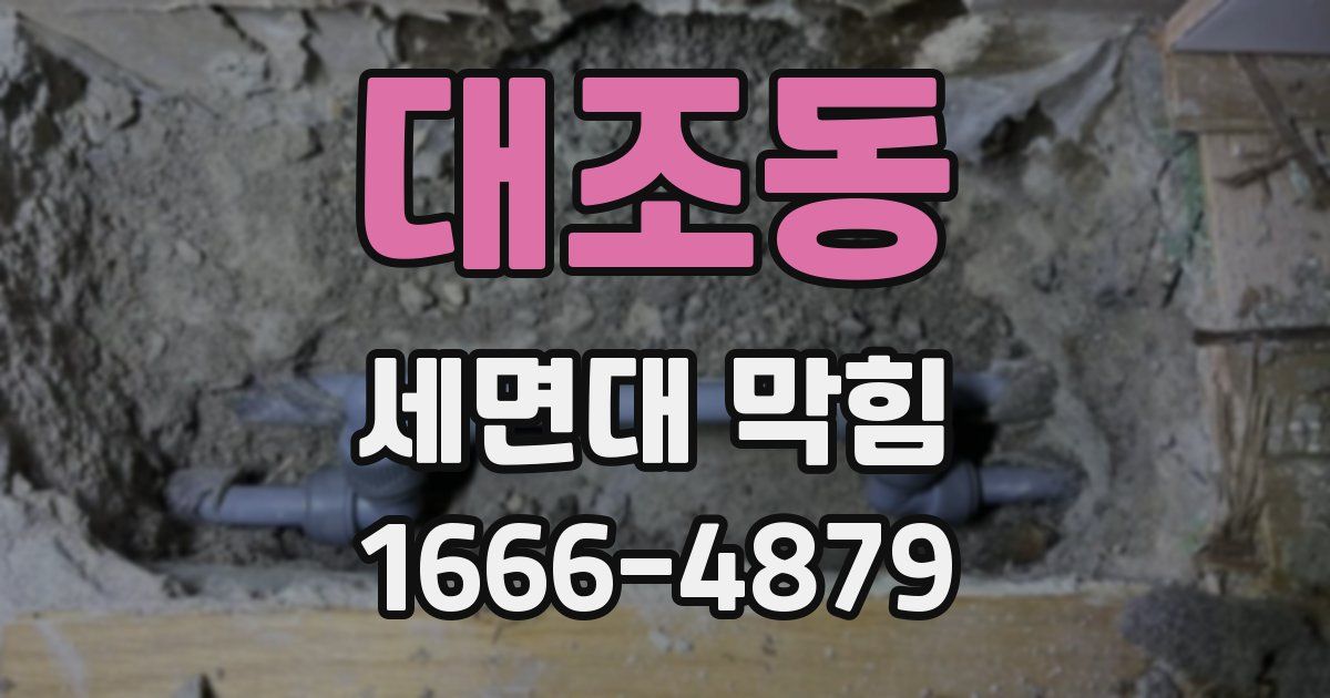 대조동 세면대 막힘