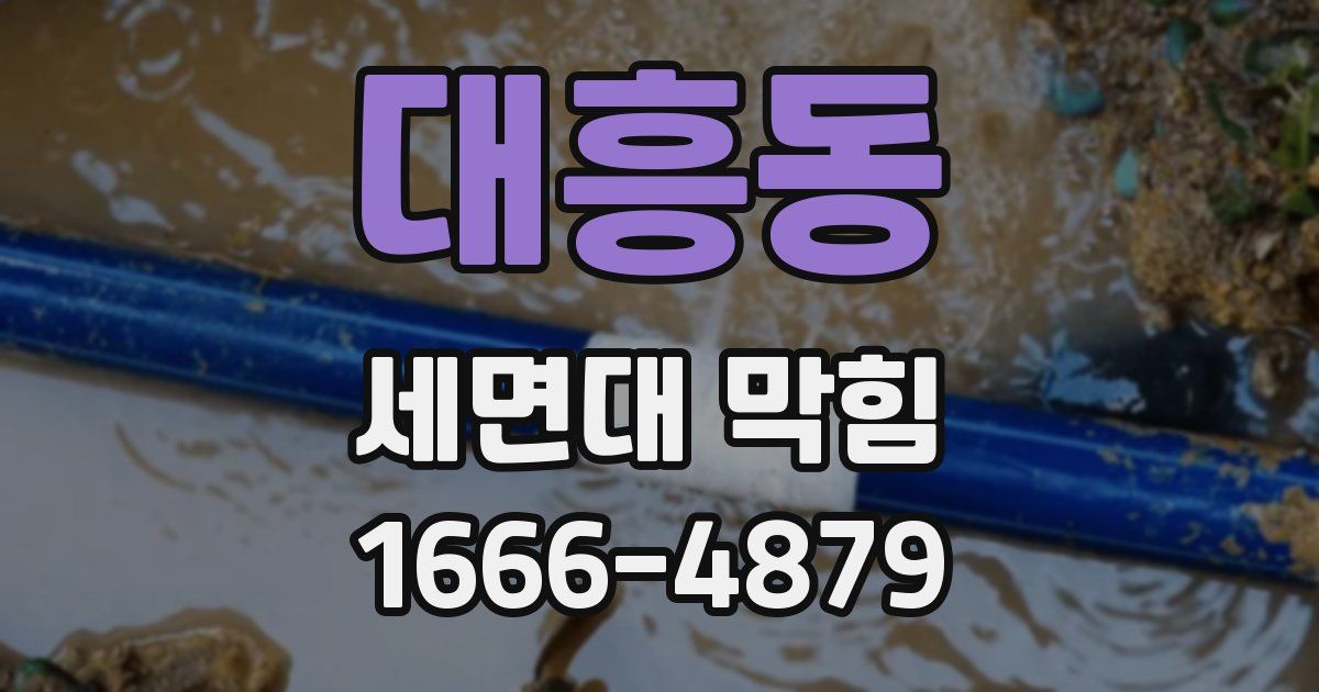 대흥동 세면대 막힘