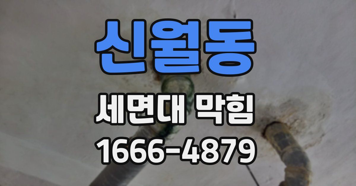 신월동 세면대 막힘