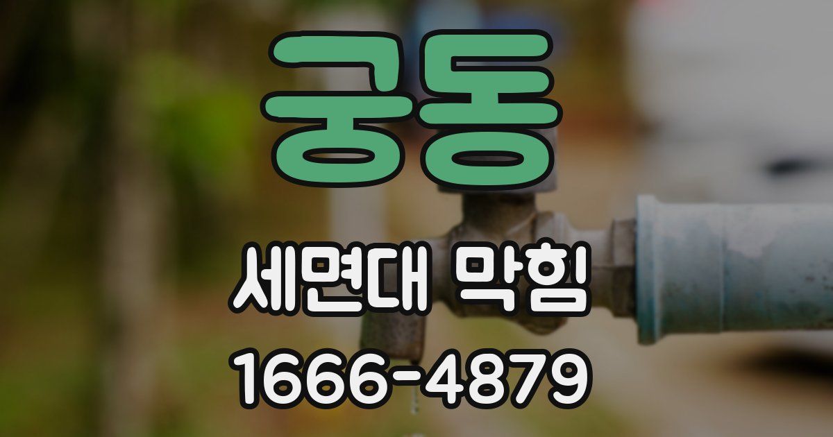 궁동 세면대 막힘